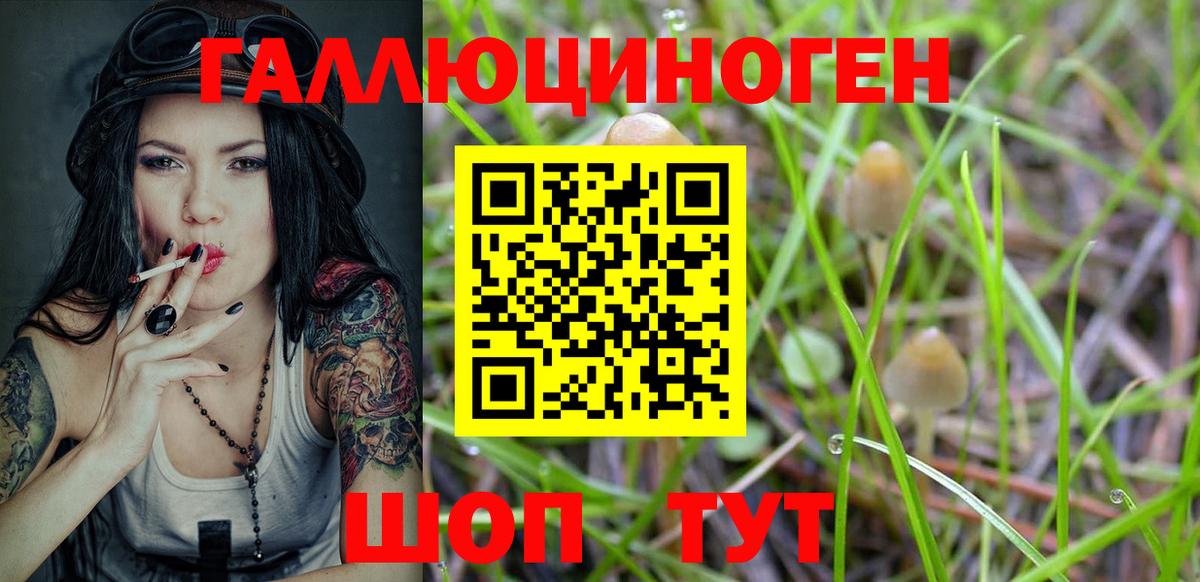 Галлюциногенные грибы Psilocybe Губаха
