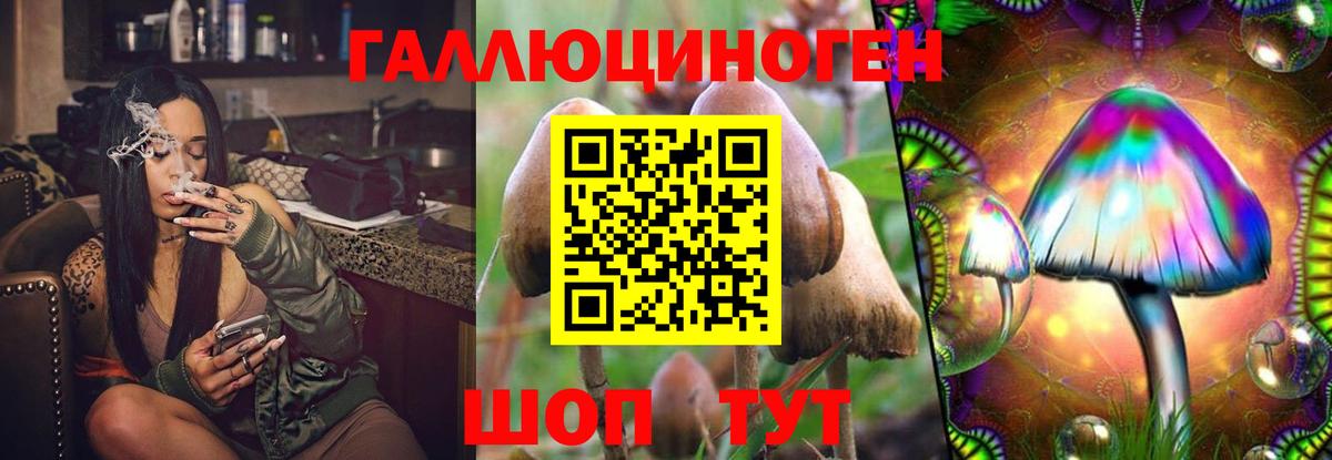 Губаха  Псилоцибиновые грибы мицелий  купить наркоту  Вход с VPN  Псилоцибиновые грибы Magic Shrooms 